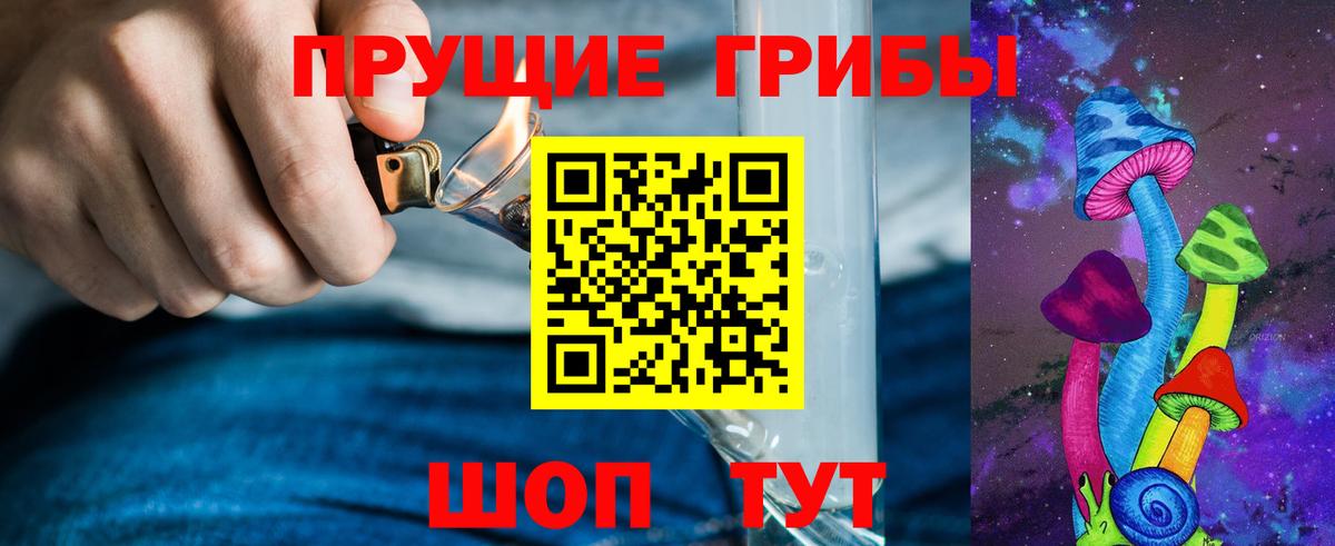 Волжский  Псилоцибиновые грибы Psilocybine cubensis  Вход с VPN 
